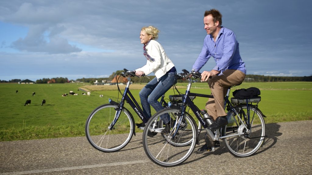 E-Bikes haben sich im touristischen Bereich immer mehr etabliert. Foto: Koga