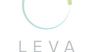 LEV-EU Logo.