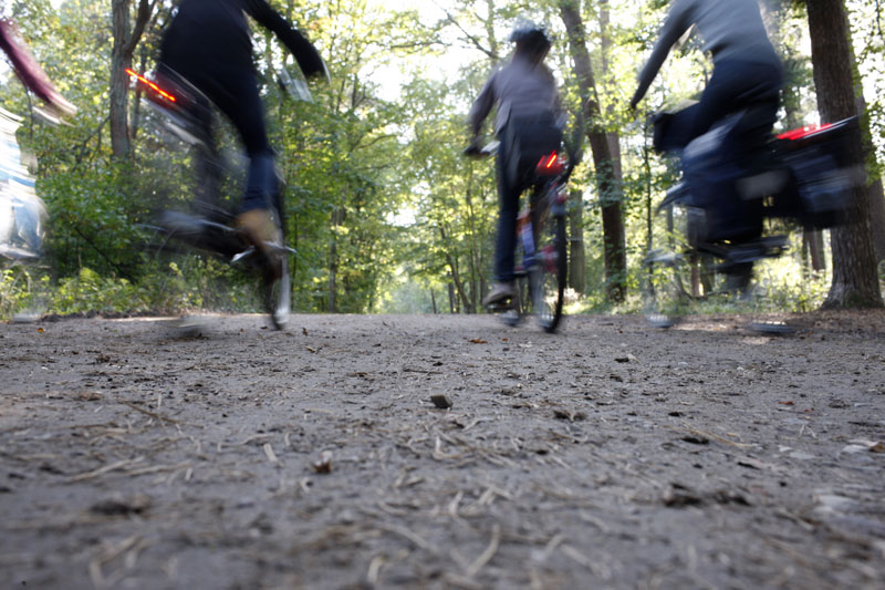 In einer dreijährigen Untersuchung will die TourismusMarketing Niedersachsen Aufschluss gewinnen über das touristische Radverkehrsaufkommen und die damit verbundene Wertschöpfung gewinnen.